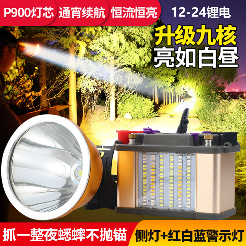 抓蟋蟀蛐蛐大功率九核分体强光感应头灯12伏超亮远射鸣虫用品用具
