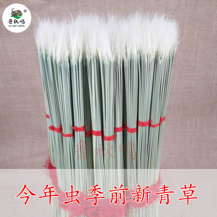 当年蟋蟀青草斗草蛐蛐油葫芦黑虫青草逗草打牙开牙草芊草竹筒用品