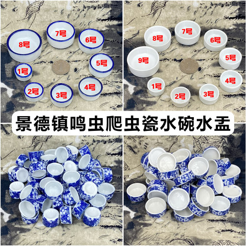 陶瓷水盂水碗鲁秋鸣蟋蟀蛐蛐水槽