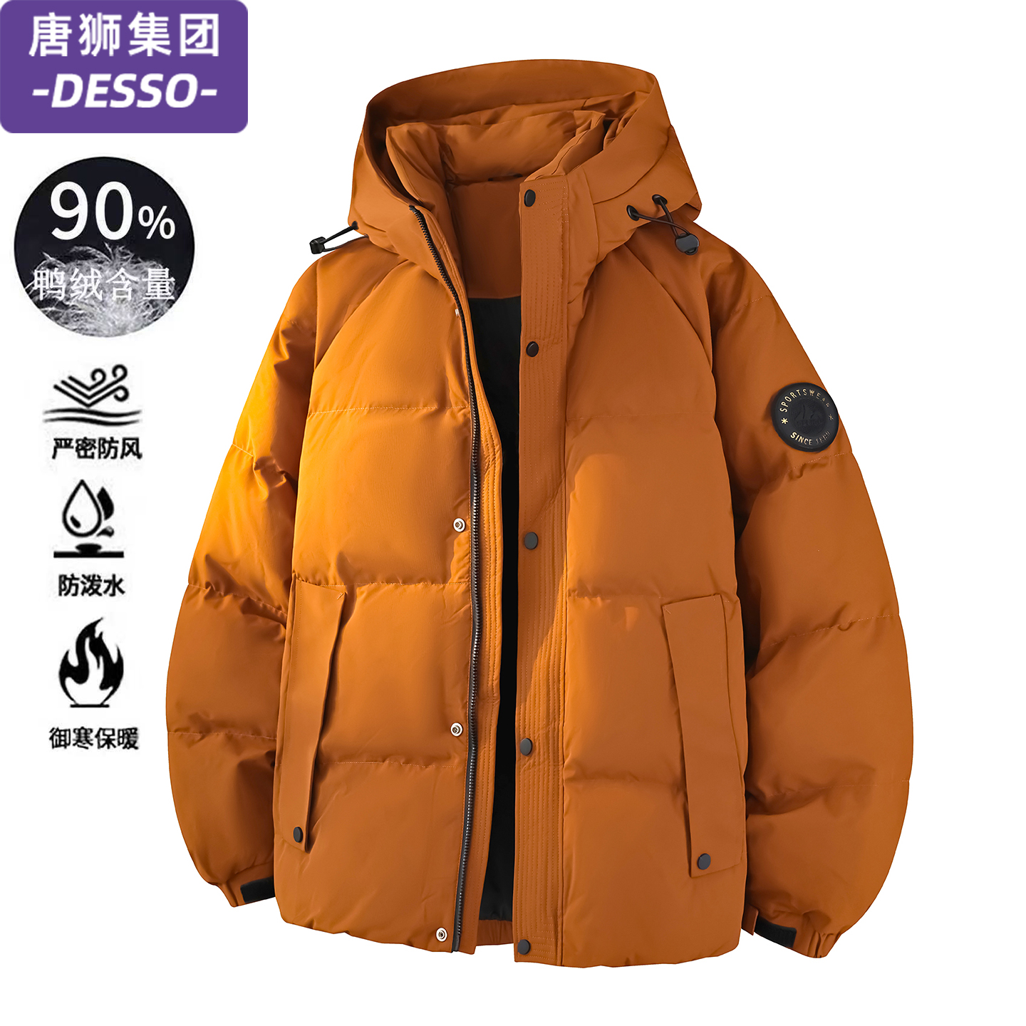 唐狮集团DESSO冬季新款羽绒服男