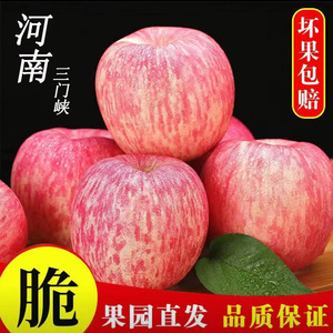 红富士苹果5斤河南苹果新鲜水果苹果新鲜整箱当季脆甜丑平果整箱