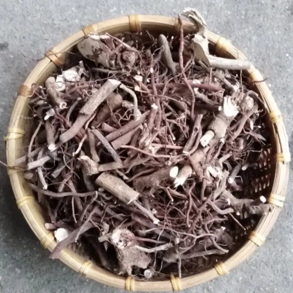 天然朱砂根 铁凉伞 大罗伞 大凉伞 金鸡爪浪伞根纯根干货500g包邮