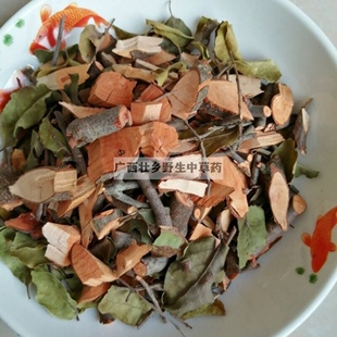 天然野漆树寄生 漆木寄生 山漆寄生 痒漆树寄生 檫子树寄生 500g