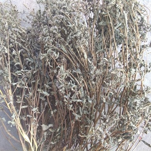 天然海椒茴香 陵零香茴香 炒血鸭醋血鸭香料 干货500g