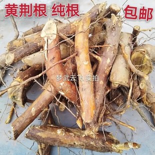 新鲜牡荆根 布惊草 布惊树根 黄荆条 五指柑 五指风 纯根500g
