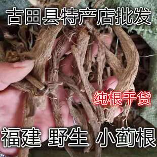 天然小蓟根 小计 猫蓟 刺蓟菜 刺儿菜 刺蓟 刺角菜根干货500g包邮