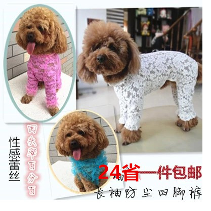24省包邮】长袖蕾丝打底衫 四脚衣泰迪贵宾比熊狗狗衣服 宠物秋款