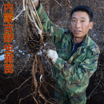 【东北特产】内蒙古野生黄芪片 黄芪根 正北芪特级中药材黄芪王