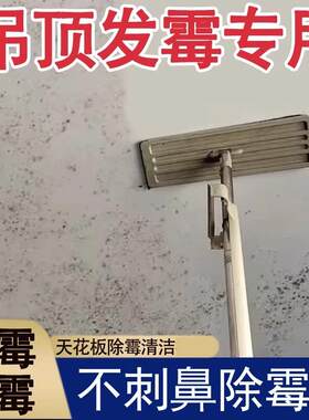 铝扣板吊顶厨房天花板除霉剂回南天墙壁发霉去霉斑霉菌清洁剂喷剂