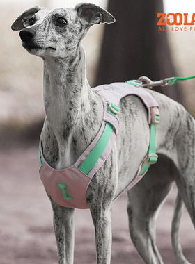 ZOOLAND狗狗胸背牵引绳工字型背心式宠物胸背带中小型犬遛狗绳