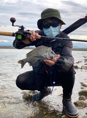 海竿904H便携竿海杆碳素海洋   小蜜蜂波爸联袂出品
