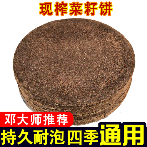 菜籽饼窝料钓鱼打窝油枯隔夜窝