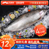 龙羊峡冰鲜国产青海三文鱼整条大鱼礼盒高原虹鳟冷水鱼送礼顺丰