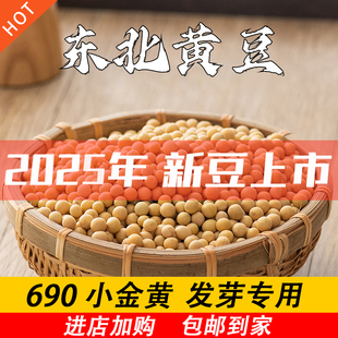 生豆芽专用纳豆东北2025新黄豆极小粒690农家自种精品一斤一包装