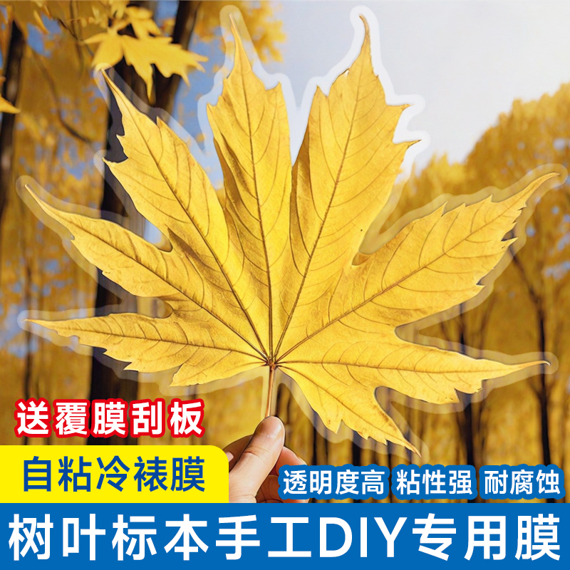 冷裱膜照片相片保护膜自粘贴膜自封树叶高光封塑膜 a4塑封膜6寸手工制作植物书签冷表膜过塑膜镭射A6标本贴膜