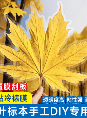 冷裱膜照片相片保护膜自粘贴膜自封树叶高光封塑膜 a4塑封膜6寸手工制作植物书签冷表膜过塑膜镭射A6标本贴膜