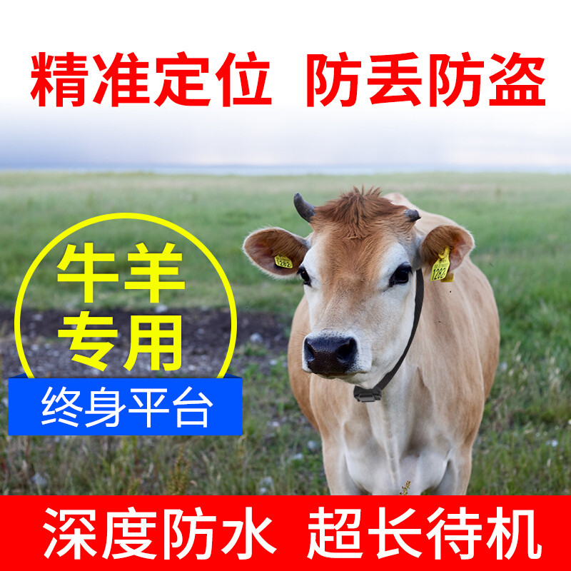 European Year Sheep positioner gps Track Artifact Mountains Grazing Dedicated Beidou Livestock animal Theft preventionin the Car/Articles/Fitting/Refit , Car Audio/Car Electronics/Electric , Automotive anti-theft security , Tracker  category - from Buy2taobao.com to provide professional Taobao agent buy service