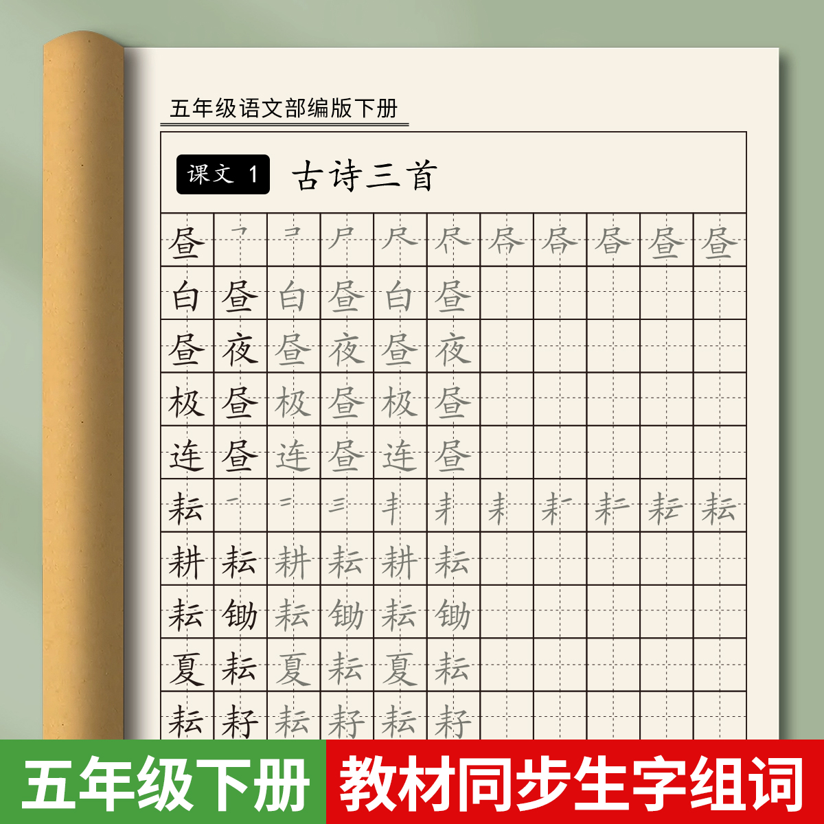 五年级生字组词同步字帖下册