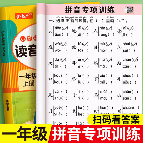 拼音专项训练全套练习册