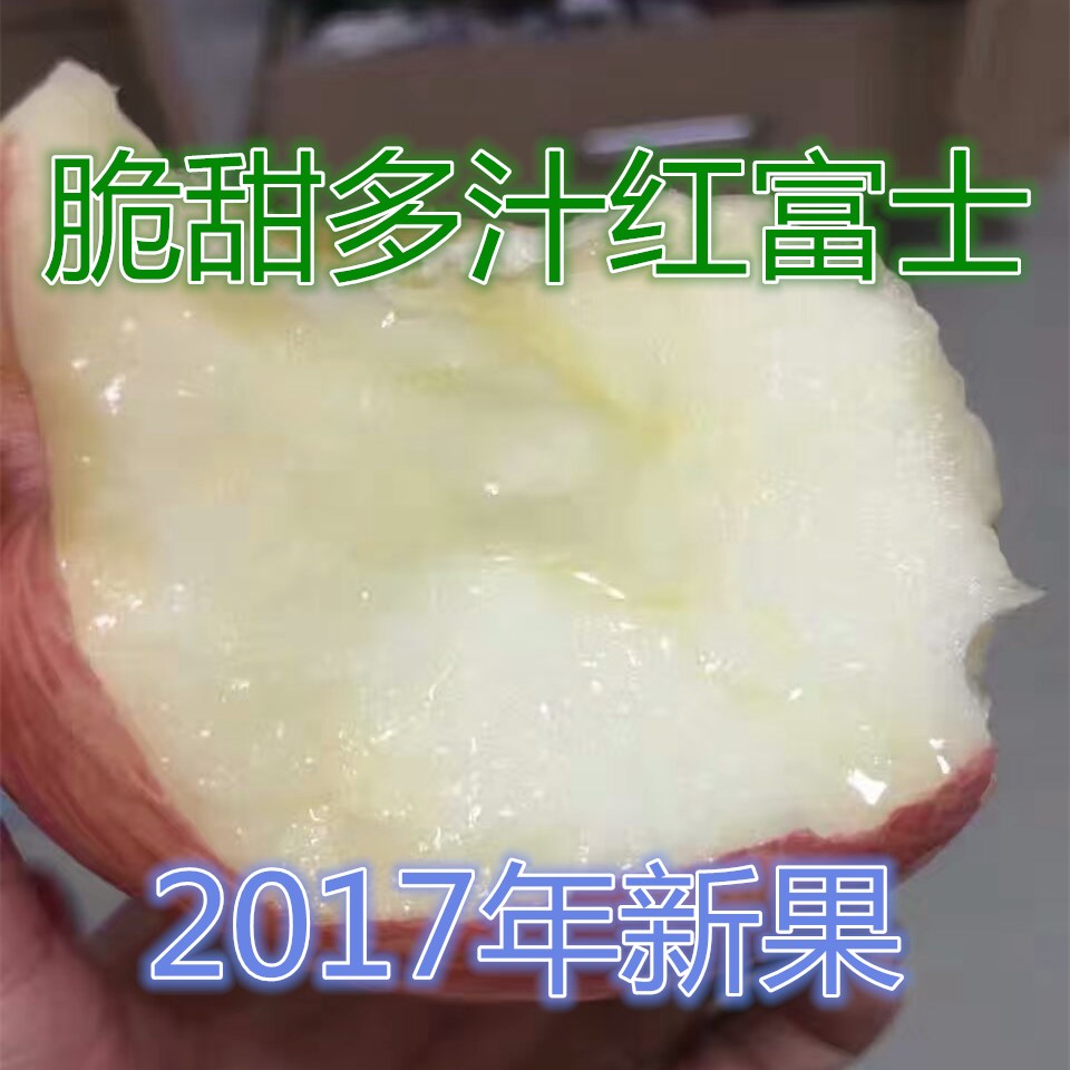 陕西白水冰糖心富士丑苹果胜国光灵宝花牛国光洛川苹果旗舰店