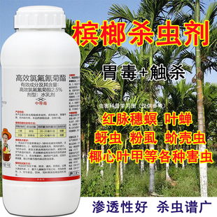 农药大全杀虫剂槟榔杀虫药叶甲虫蚧壳虫蚜虫白蚁叶蝉红蜘蛛专用药