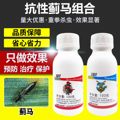 蔬菜果树蓟马虫卵双杀农药杀虫剂