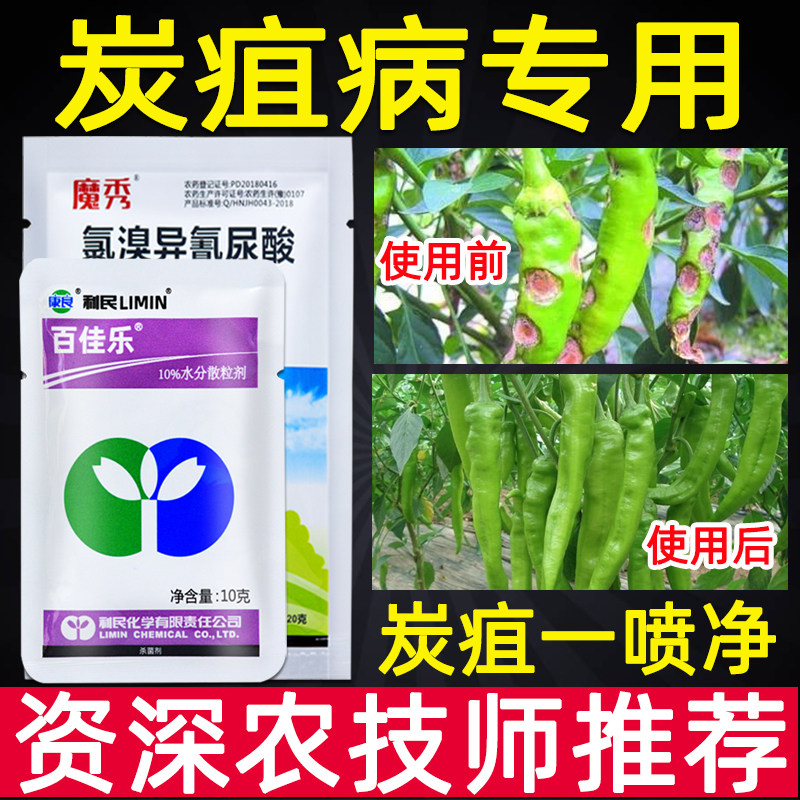 农药苯醚甲环唑杀菌剂草莓植物专用柑橘炭疽病农用药氯溴异氰尿酸