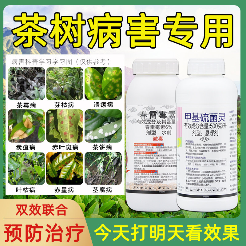 茶树茶叶专用农药杀菌剂春雷霉素甲基硫菌灵炭疽病芽枯病叶枯病药