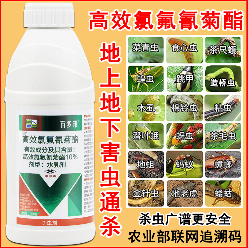 高效氯氟氰菊酯蛴螬地蛆蝼蛄金针虫蔬菜果树小麦专用药杀虫剂农药