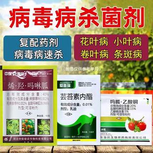 植物病毒病专用药吗胍乙酸铜辣椒草莓番茄西红柿毒病专用药杀菌剂