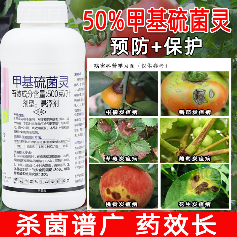 农药大全杀菌剂甲基硫菌菌灵柑橘蔬菜植物草莓炭疽病高效农用药