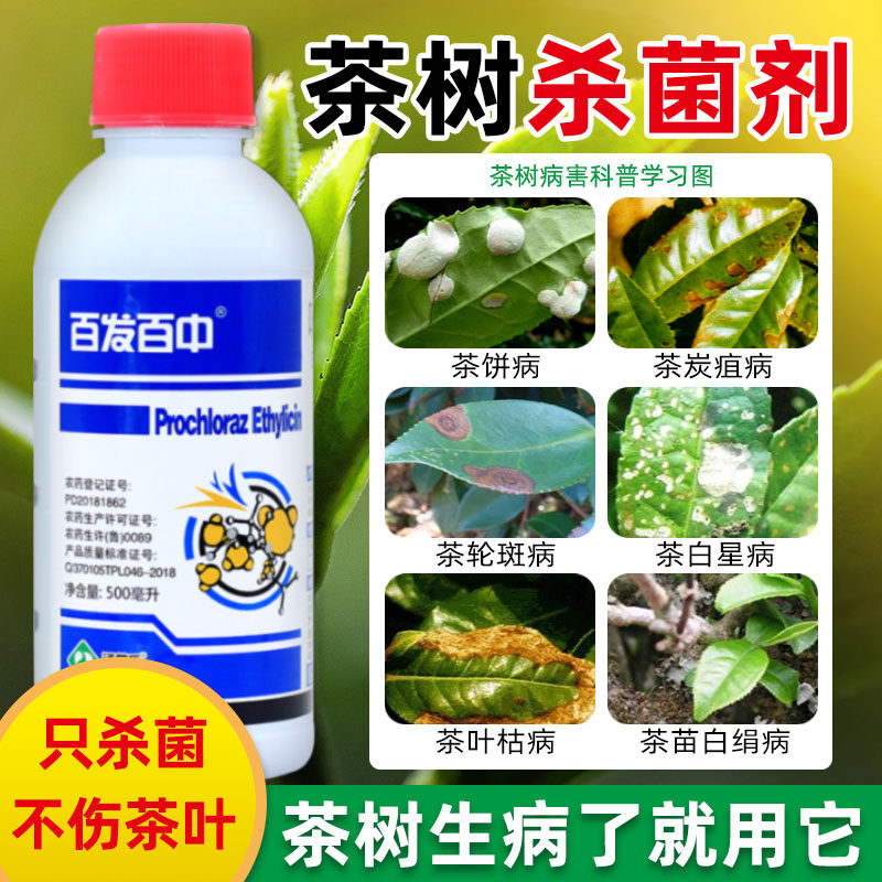 茶叶茶树专用农药杀菌剂农用乙蒜索炭疽病疫病灰霉病茶轮斑星正品