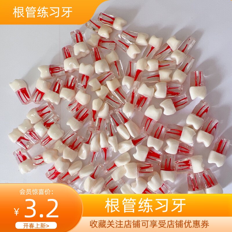 根管治疗开髓牙仿真种植牙科牙粒口腔护理设备礼盒