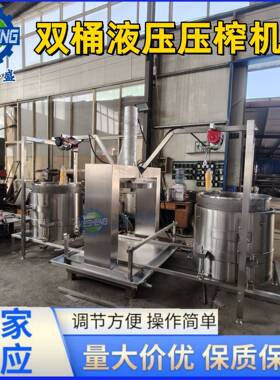 沙棘果蔬液压压榨机 双桶轮换式压滤机 冷萃酸奶风味酸奶压滤机