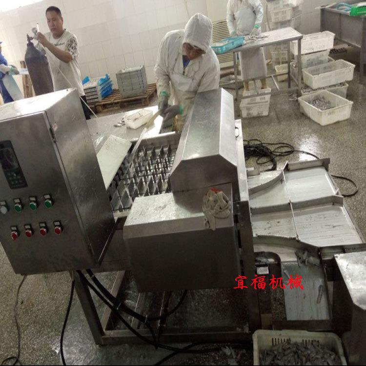 东海切鱼机 带鱼切段机 宜福带鱼切鱼机价格 带鱼切块机厂家