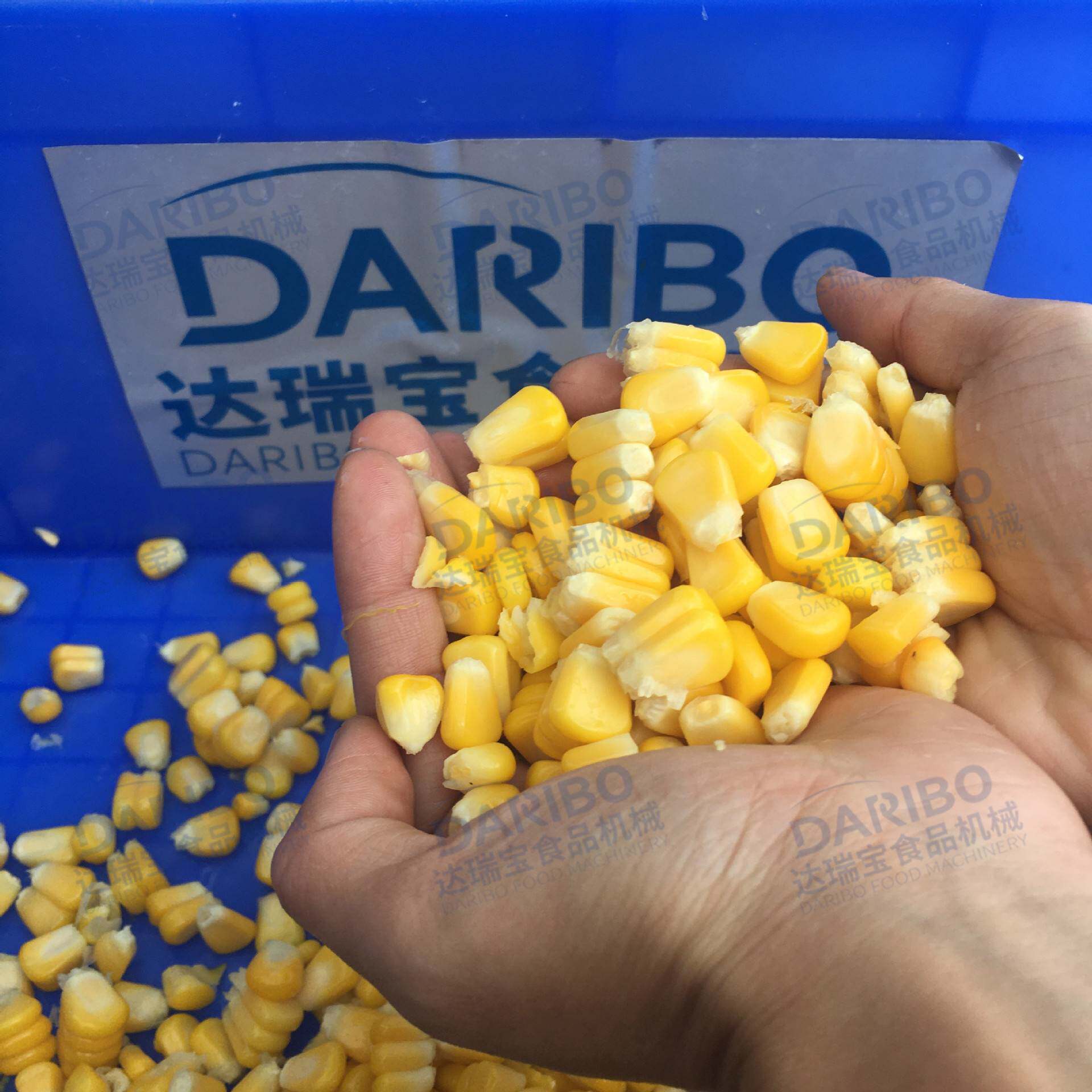 l内蒙古大产量新鲜玉米脱粒机 剥粟米粒机器 台湾玉米脱离机商用