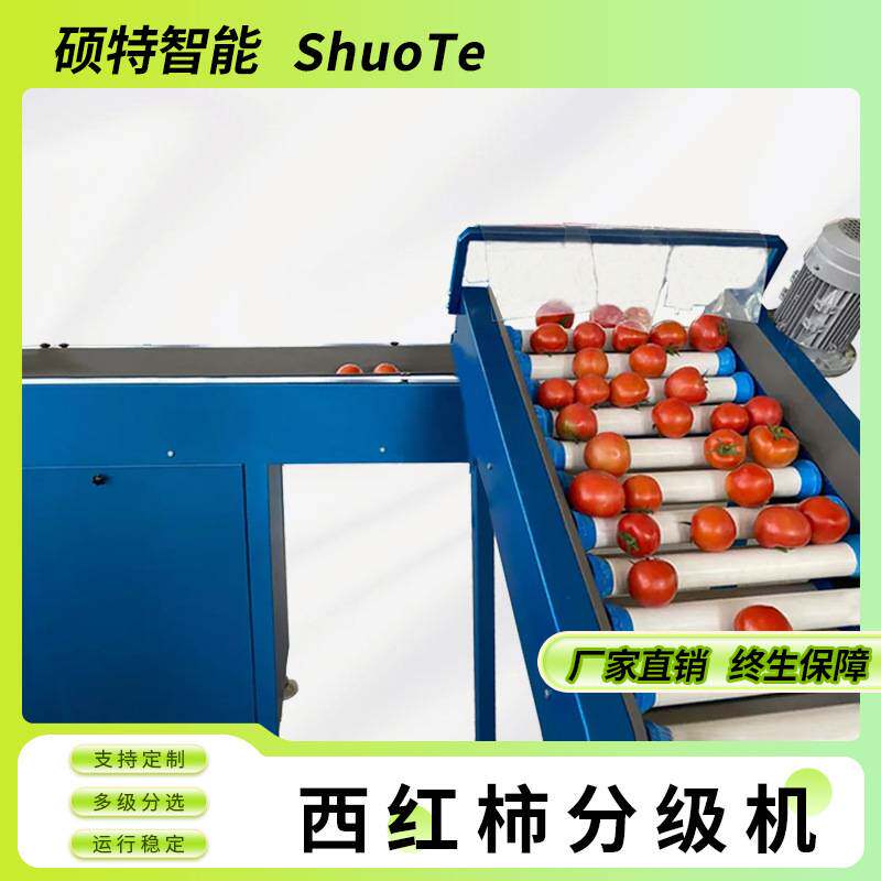 西红柿分选机 果蔬分选机 香橙橘子选果机滚杠式分级机大小分选机