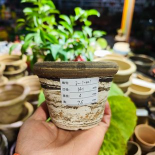 一物一拍 友定 迷你蛋挞 阿豪陶艺原创纯手工陶盆 口10