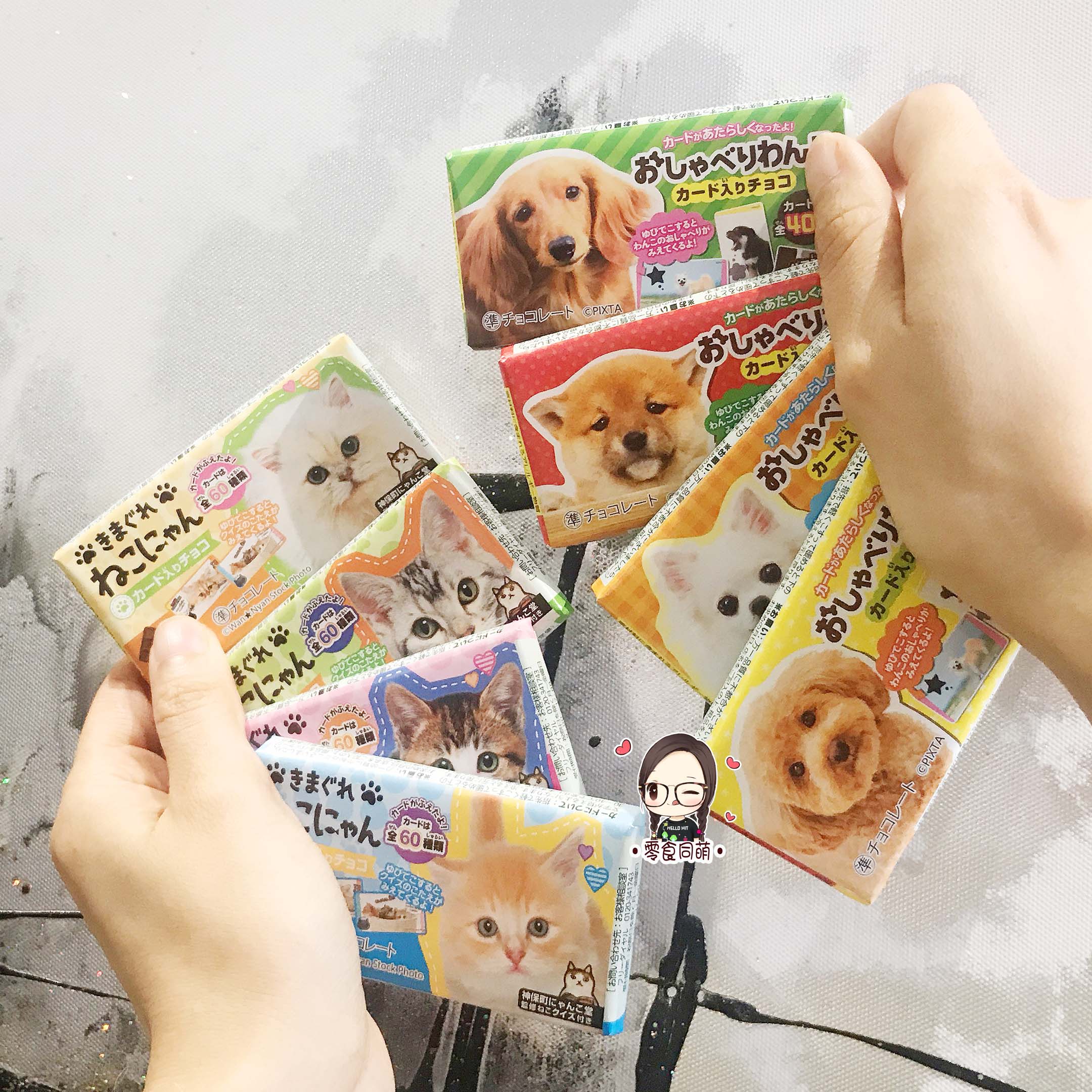 日本进口零食 猫咪狗狗图案宠物卡通包装脆香米牛奶巧克力 单块