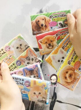 日本猫咪狗狗图案牛奶巧克力
