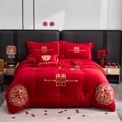 抗菌抑菌四季被芯被子婚房陪嫁品