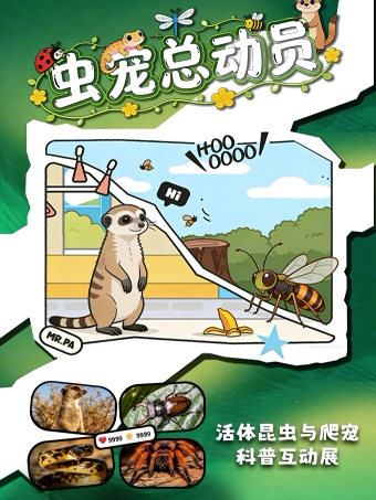 《虫宠总动员》活体昆虫与爬宠科普互动展