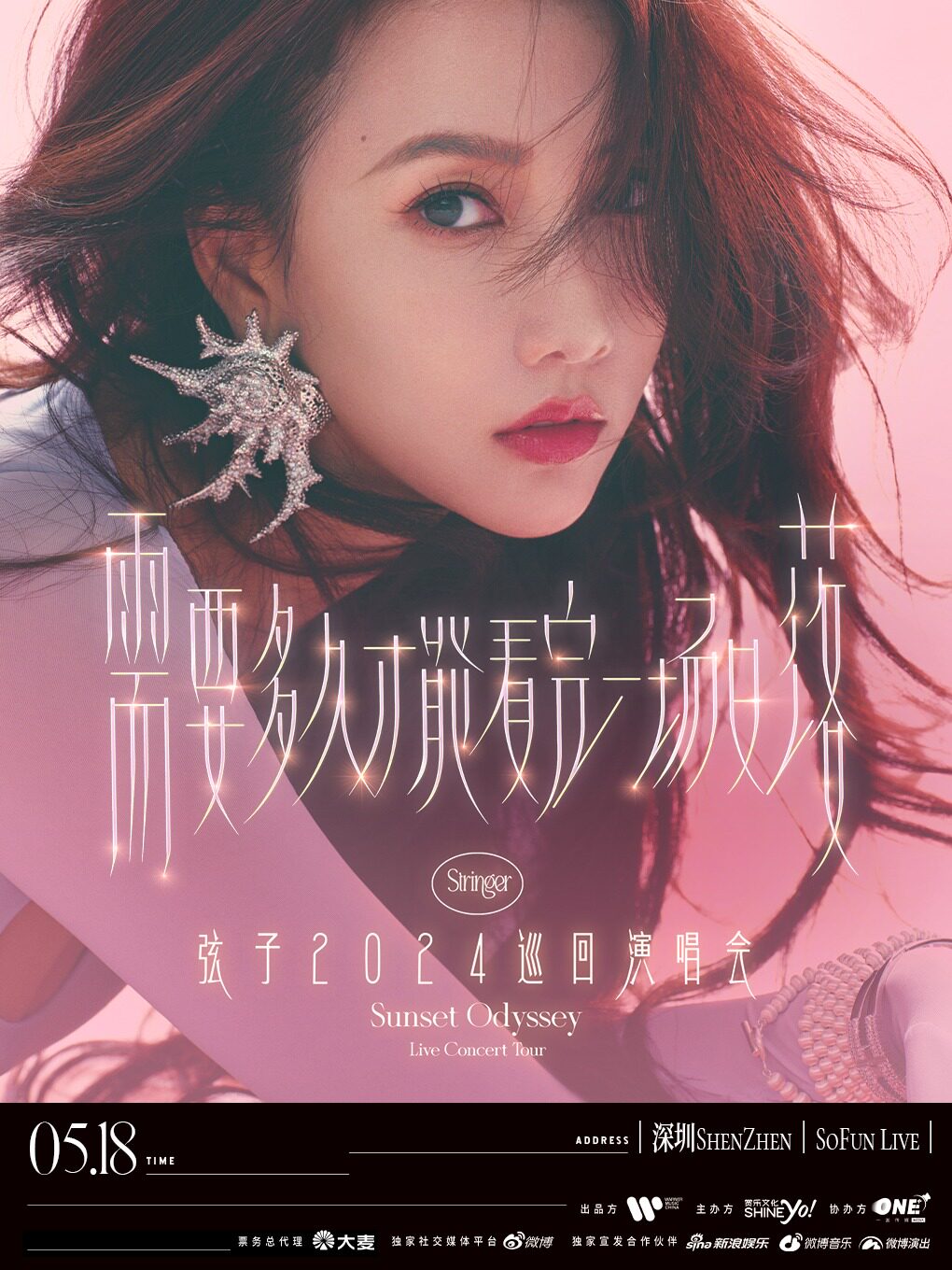 弦子“需要多久才能看完一场日落”2024巡回演唱会-深圳站