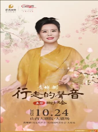 大剧场-音乐会-太原·龚琳娜《行走的声音》互动国风音乐会