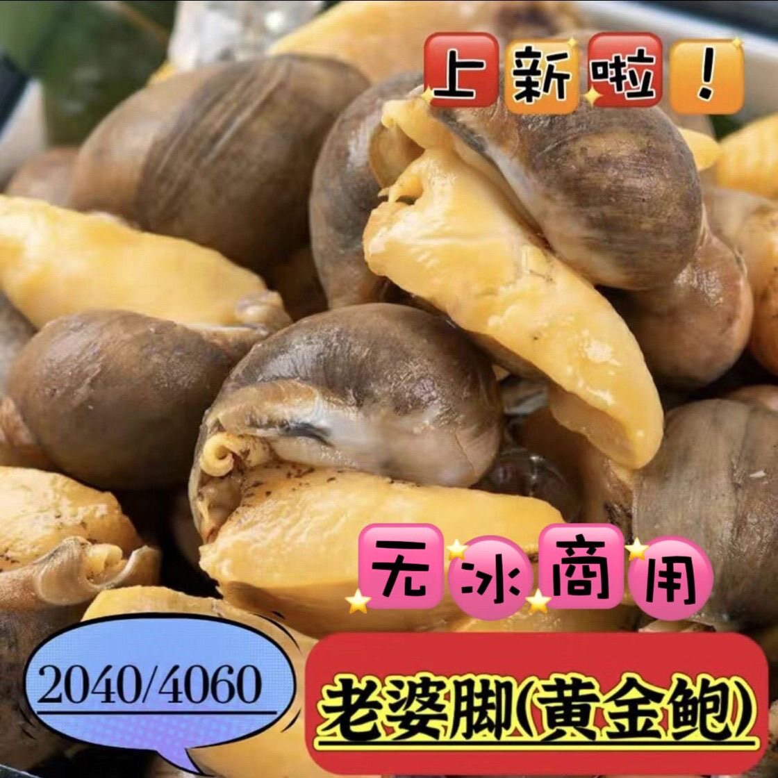 原汁干冰单冻老婆脚带壳新鲜冷冻鲍螺原料商用批发捞汁食材餐饮