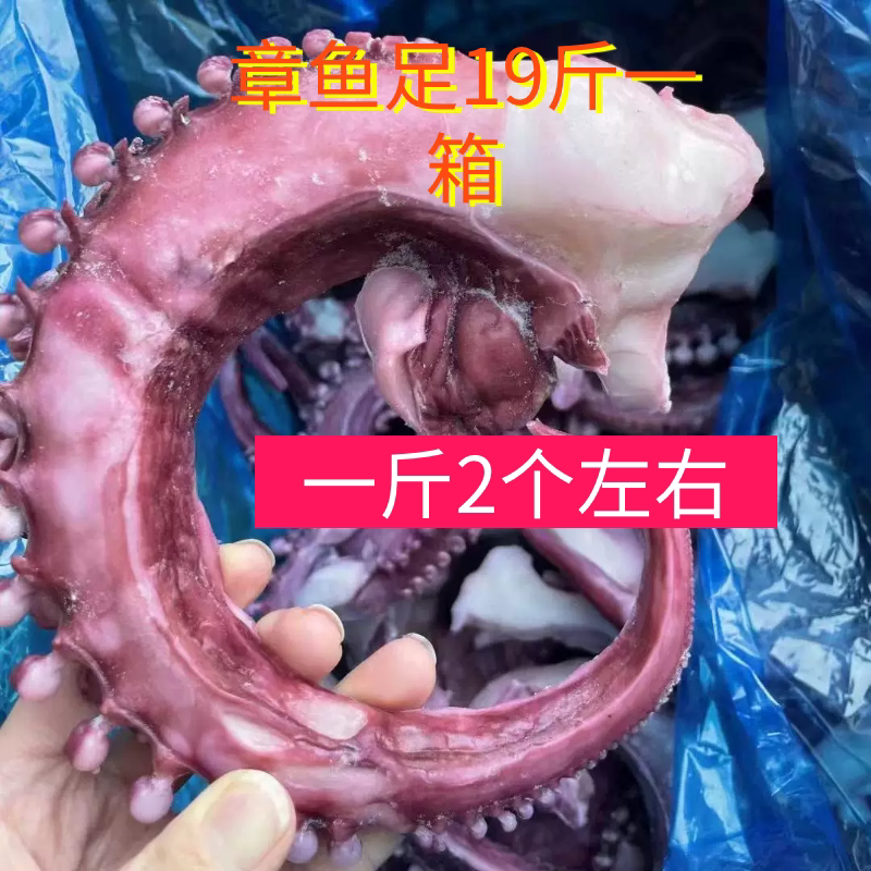 新鲜冷冻无冰衣章鱼足脆口章鱼须韩式捞汁烧烤章鱼小丸子食材商用