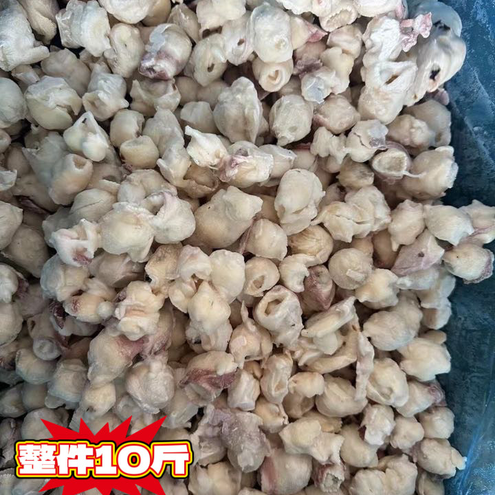 鲜冻鱿鱼嘴巴单冻鱿鱼嘴烧烤捞汁小海鲜餐饮商用批发食材摆摊食材