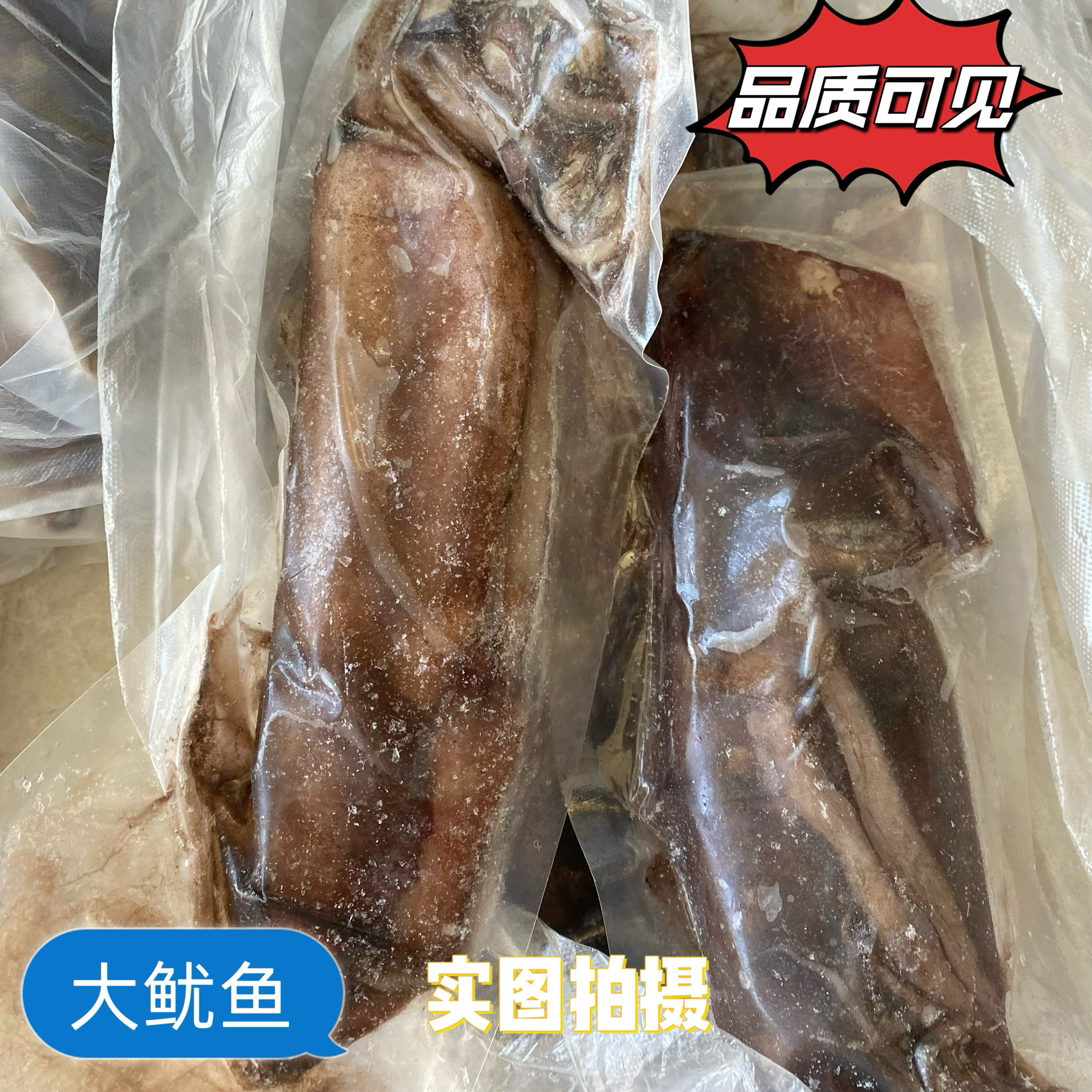 野生大鱿鱼整条大鱿鱼黑皮冷冻活冻大鱿鱼商用批发铁板烧烤饭店
