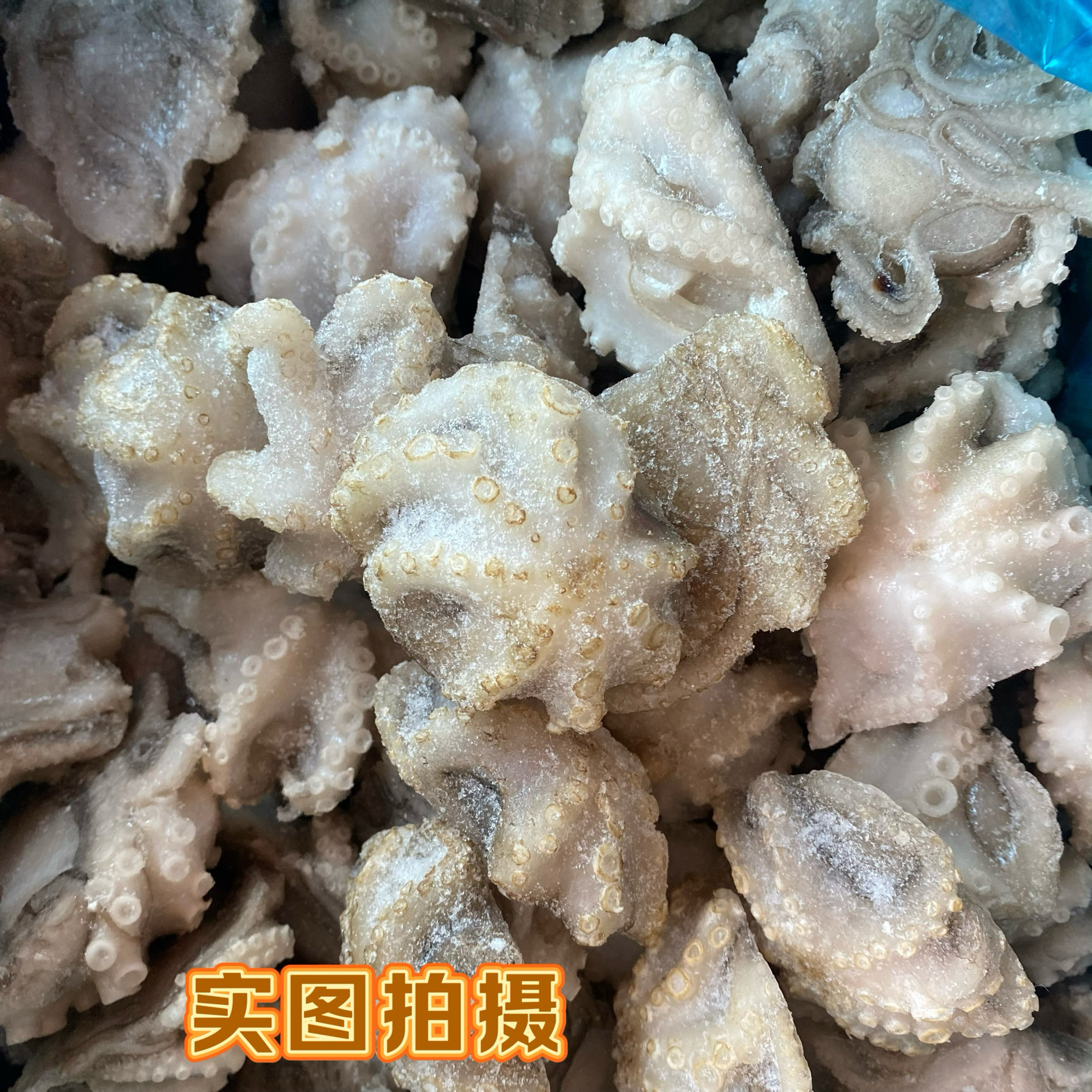 新鲜八爪鱼冷冻迷你去墨去内脏去牙齿小章鱼海鲜水产火锅食材