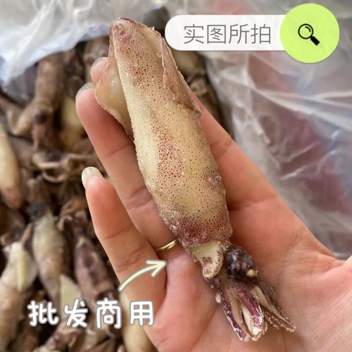 五斤全籽海兔熟冻全籽满籽满膏海兔子带籽笔管鱼烧烤自助捞汁商用